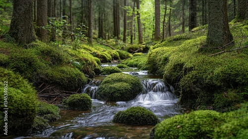 Serene Woodland Scene with Gentle Flowing Stream and Lush Greenery