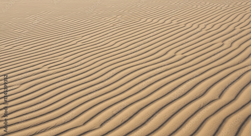 The image is of a sandy beach with a long, wavy line of sand The image is of a sandy beach with a long, wavy line of sand