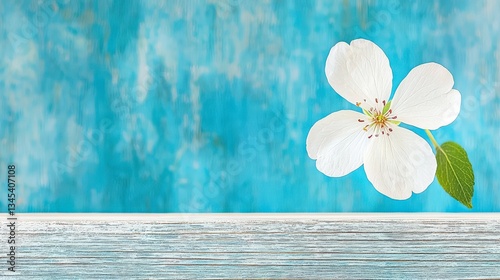Floral Serenity: A delicate white flower with vibrant green leaf rests atop a weathered wooden surface against an artsy turquoise background.