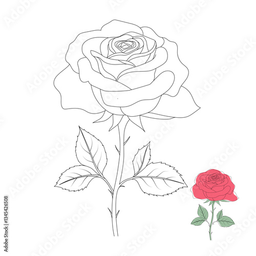 Hand-Drawn Rose line art design illustration