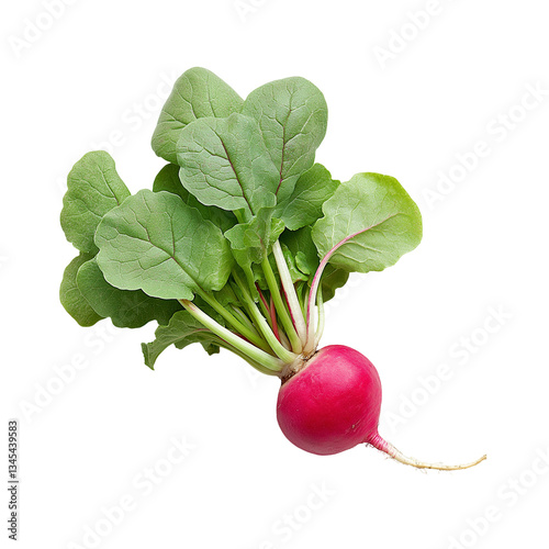 bunch of radish