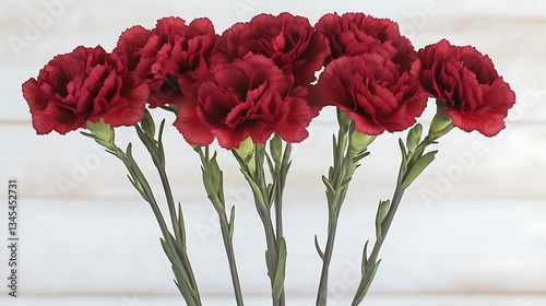 Dark Red Carnations for Wooden Background.