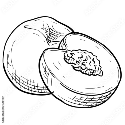 peach handdrawn illustration