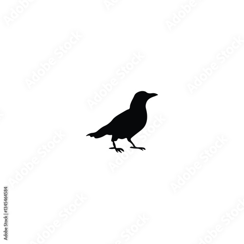 Bird silhouette