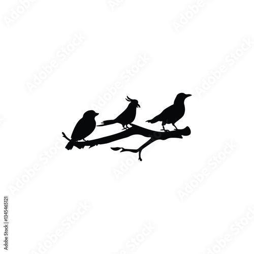 Bird silhouette