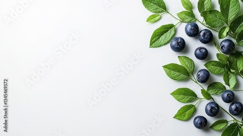 Fresh Blueberries with Green Leaves on Light Gray Background