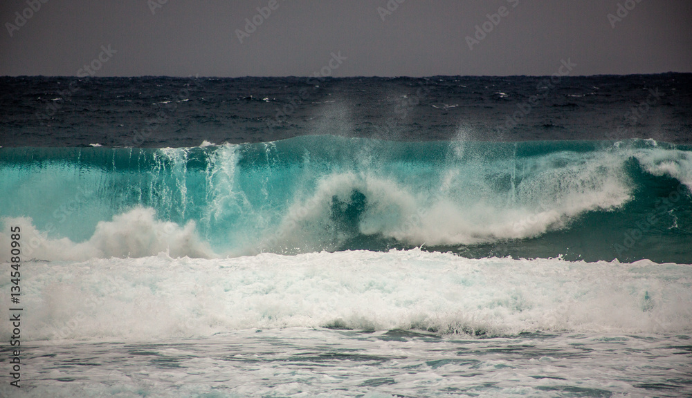 Fototapeta premium 奄美大島の自然、海、波。