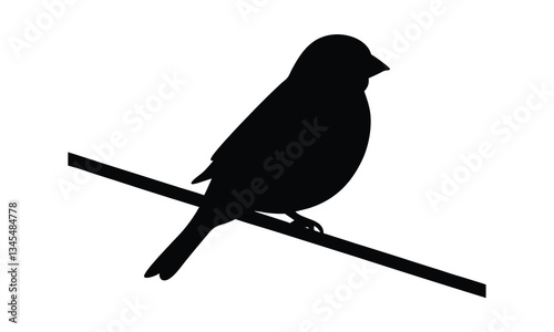 Bird Perched on Wire Silhouette