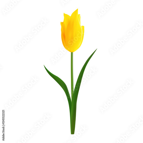Beautiful realistic yellow tulip vector illustration. Isolated on white. For spring-themed backgrounds, wallpapers, textile designs. Floral design element.