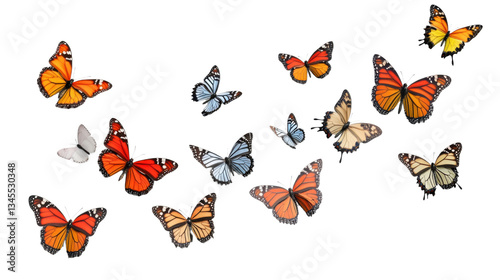 Colorful butterflies flying on transparent background