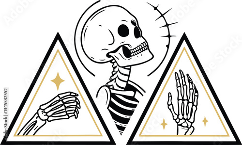 Bones & X-Ray A Glimpse Beneath the Surface