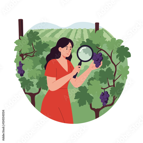 Woman inspecting grapes in vineyard with flat design style vector illustration