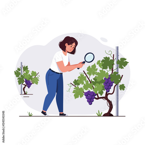 Woman inspecting grapevine plants in flat vector art style illustration