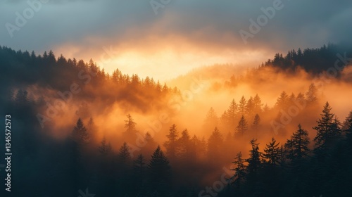 Misty sunrise over evergreen forests nature landscape tranquil environment aerial view serenity concept
