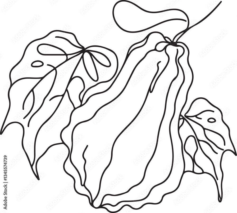 Chayote Line Drawing Ideas for Artists Chayote Line Drawing Ideas for Artists