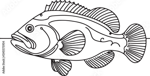 Grouper Fish Line Drawing Tutorial for Beginners