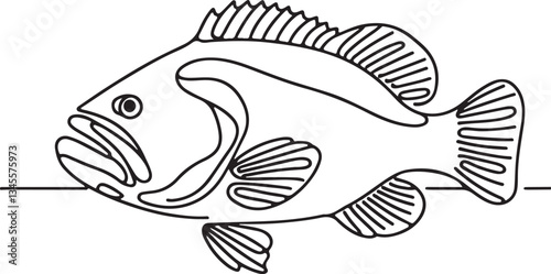 Grouper Fish Line Drawing Tutorial for Beginners