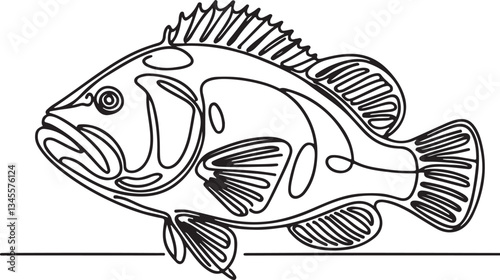 Grouper Fish Line Drawing Tutorial for Beginners