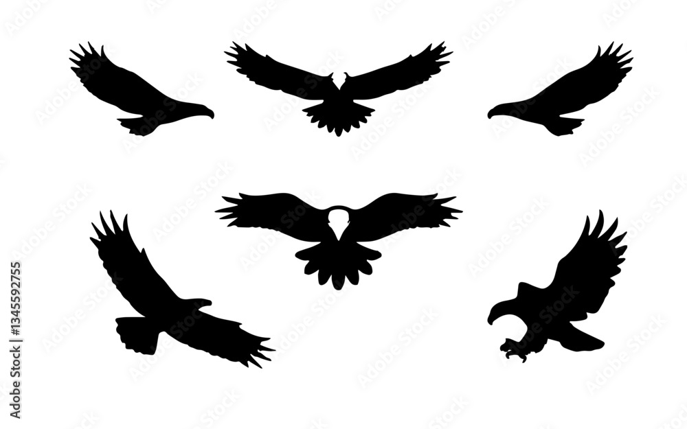 a vector set of flying eagle a vector set of flying eagle