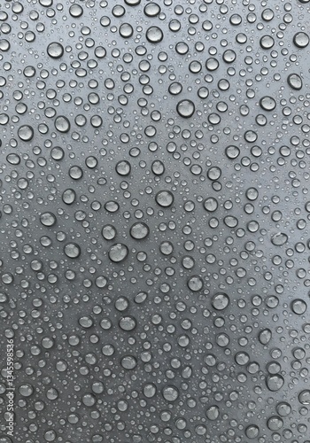 Wallpaper Mural raindrops, rain, water droplets, surface, texture, close-up, macro, reflective, light, neutral tones, weather, nature, photography, detail, pattern, smooth, wet, precipitation, drops, highlights, wate Torontodigital.ca