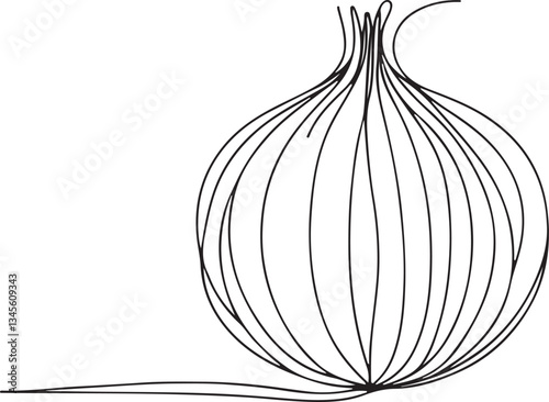 Onion Line Drawing Art