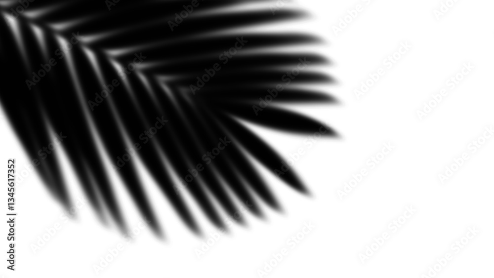 Fototapeta premium Shadow of palm fronds on a transparent background. PNG, Cutout, or clipping path.