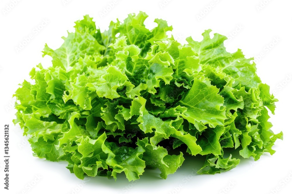 Sharp Image of Juicy Leaves of Lettuce Isolated on White Background Fresh Lolo Salad Sharp Image of Juicy Leaves of Lettuce Isolated on White Background Fresh Lolo Salad