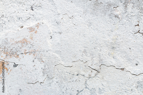 Obraz na płótnie Light Gray Stucco Wall Texture. Abstract Background w salonie