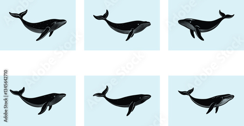 Humpback Whale Silhouette vector