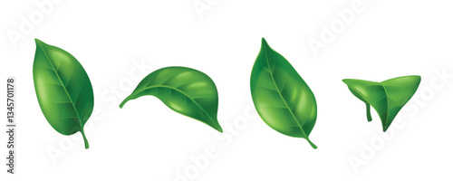 Flying green leaves set isolated on white background. Vector realistic illustration of mint, tea, summer tree leaf in fresh wind, spring nature foliage whirlwind, herbal drink or medicine symbol