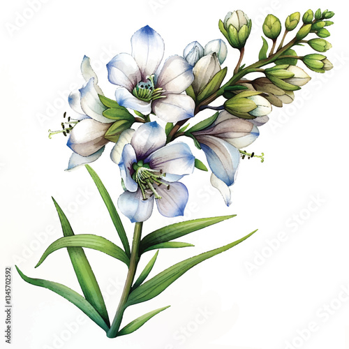]Watercolor Delphinium white background