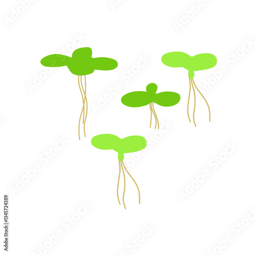Duckweed Illustration 