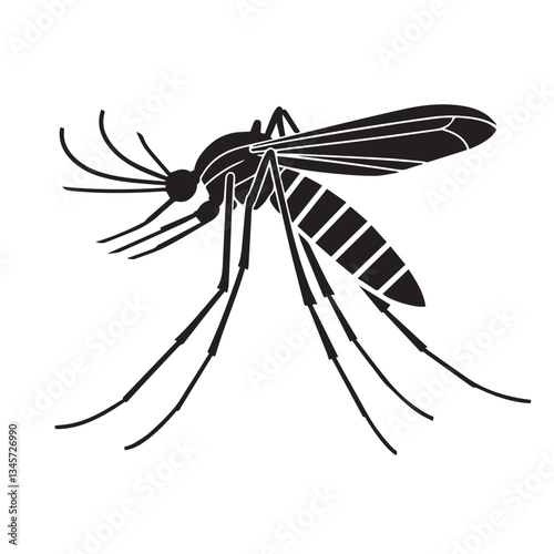 Malaria mosquito vector 