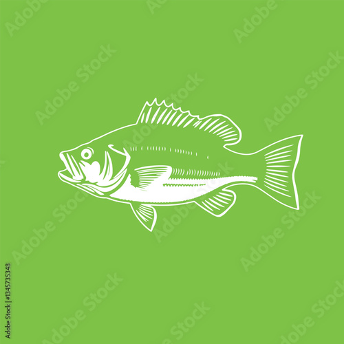 Bass fish emblem hand drawn isolated vector illustration.