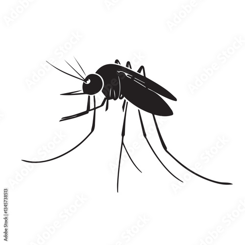 Malaria mosquito vector 