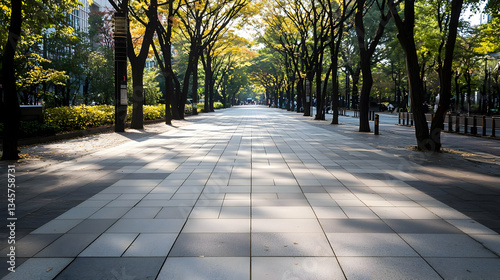 Stone Paved Pathway Lined By Tall Trees Under Warm Sunlight in a Public Park