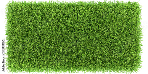 Realistic Image of Green Grass Texture Background Close Up of Lush Lawn Turf Field with Natural Vibrant Pattern for Outdoors and Landscaping Synthetic Ground Cover
