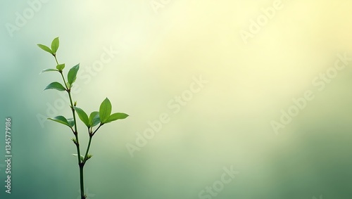 A slender sprout reaching upwards against a soft, gradient backdrop