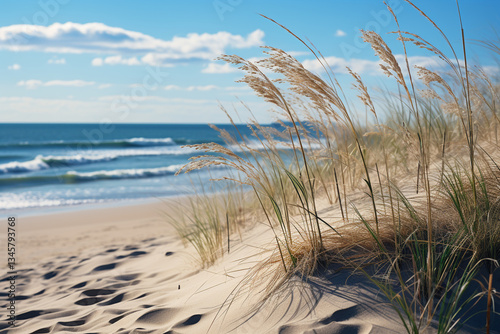 a breathtaking masterpiece showcasing harmonious convergence of sand dunes and mighty ocean, where vibrant coastal front dances with boundless energy, and tranquil union of land and sea creates a spec