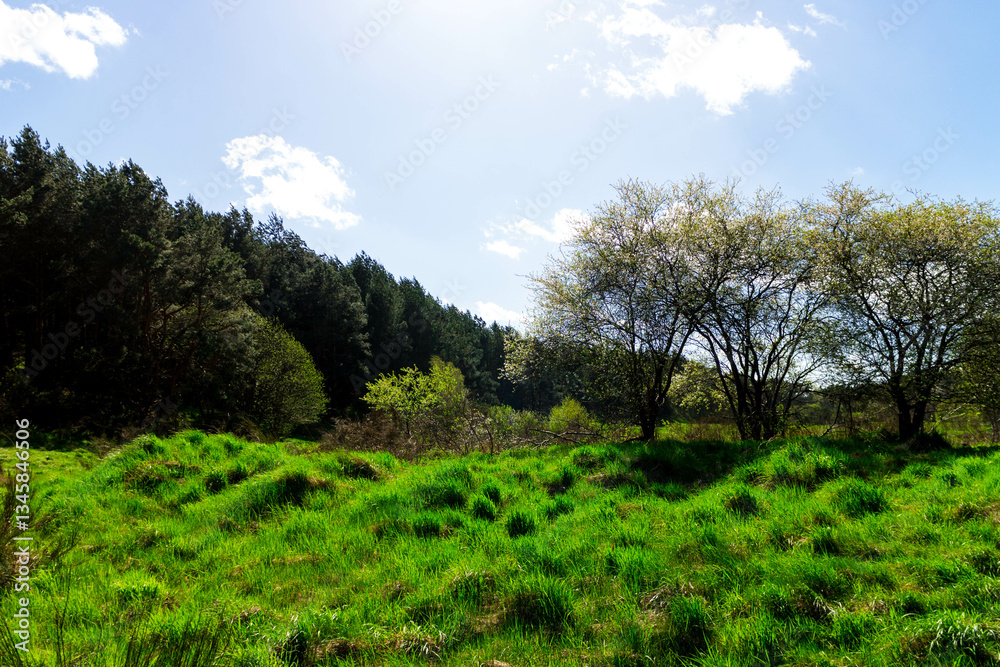 Obraz premium Landscape of beautiful Kashubia. Northern Pland.