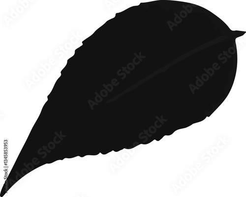 Silhouette of an unknown leaf