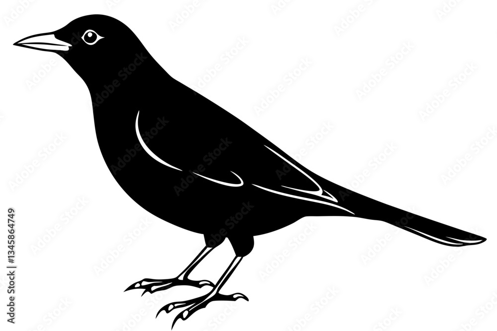 Obraz premium blackbird line art silhouette vector illustration