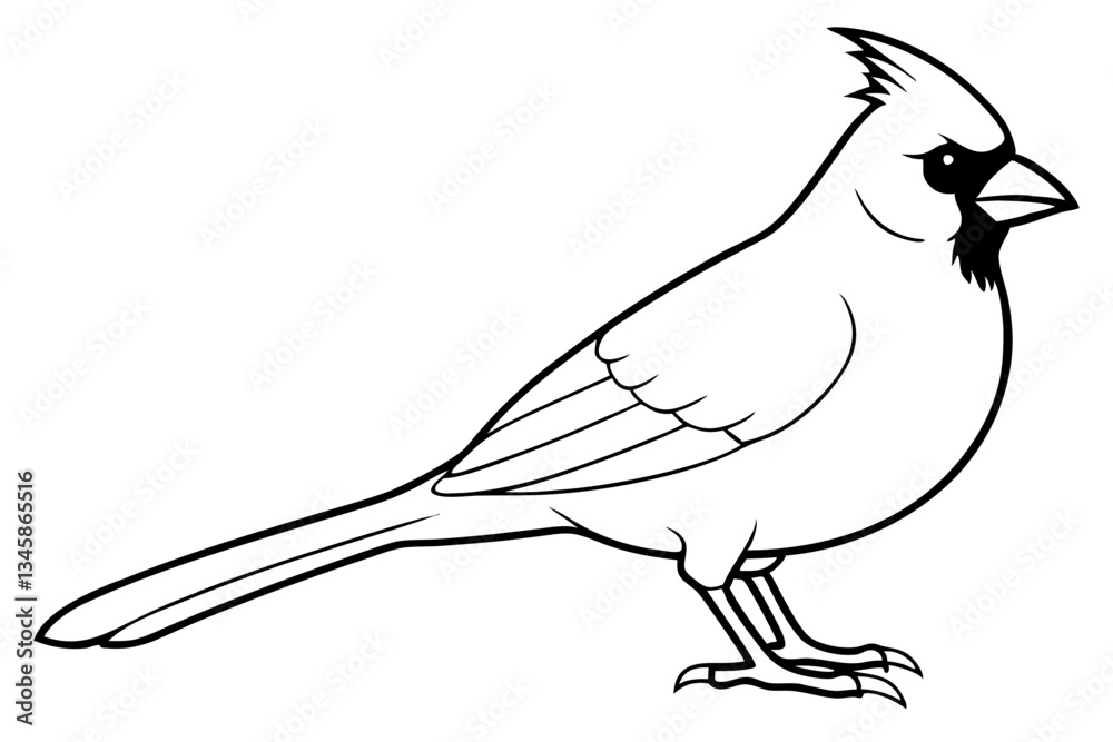 Fototapeta premium cardinal line art silhouette vector illustration