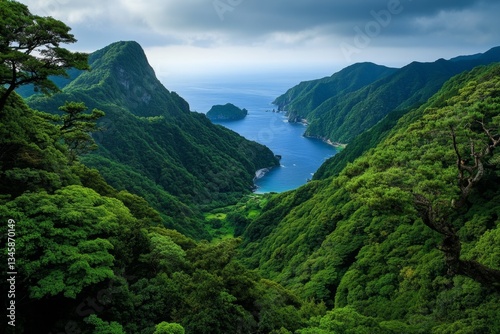 A breathtaking view of the Izu Peninsula from a high mountain peak, showing lush forests meeting the sea