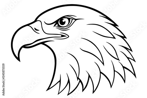 eagle head line art silhouette vector illustration