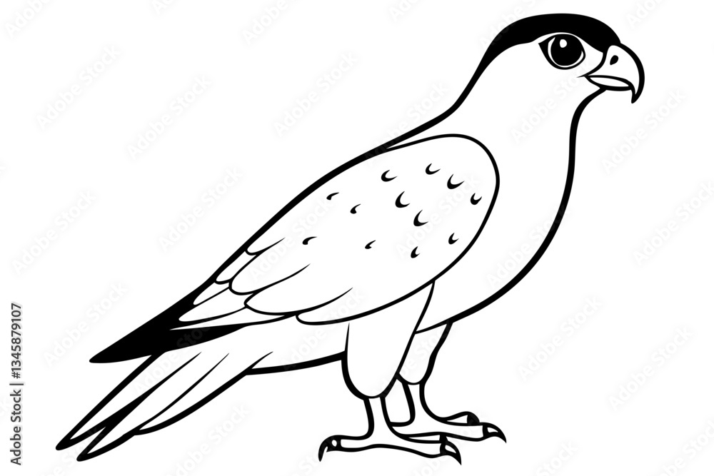 Obraz premium falcon line art silhouette vector illustration