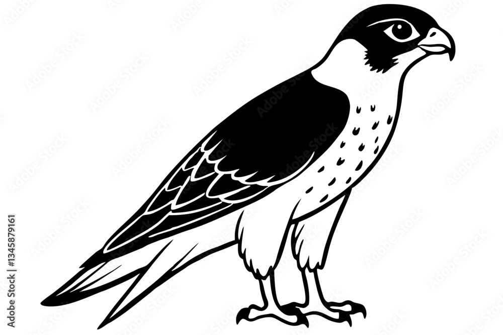 Fototapeta premium falcon line art silhouette vector illustration