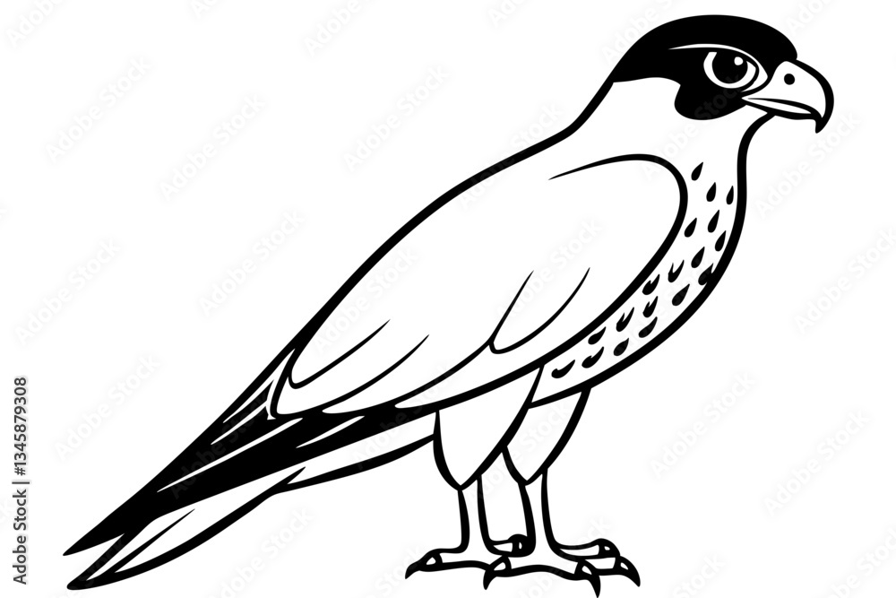 Fototapeta premium falcon line art silhouette vector illustration