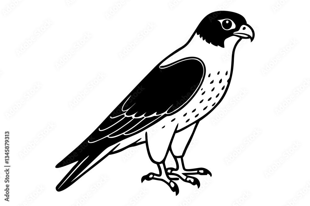 Fototapeta premium falcon line art silhouette vector illustration