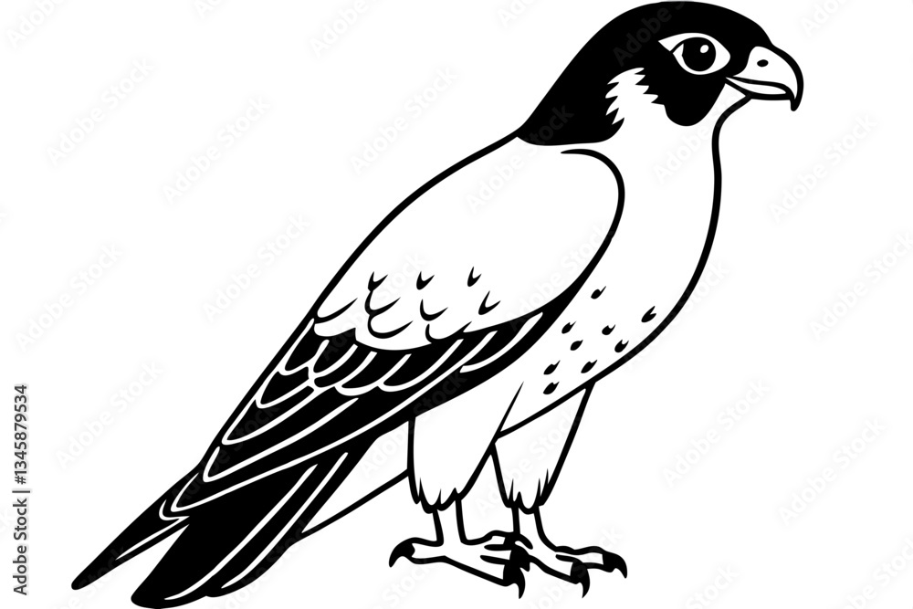 Naklejka premium falcon line art silhouette vector illustration